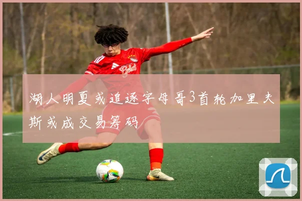 湖人明夏或追逐字母哥3首轮加里夫斯或成交易筹码